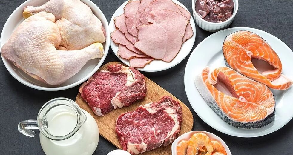 Fusión - etapa dietética