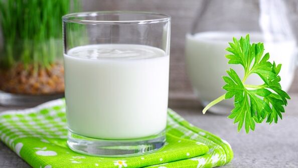dieta de kéfir
