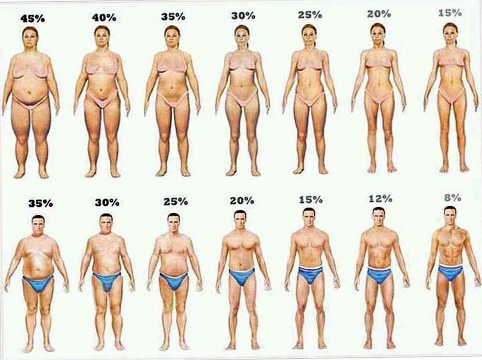 Porcentaje de grasa corporal y pérdida de peso con la dieta Keto